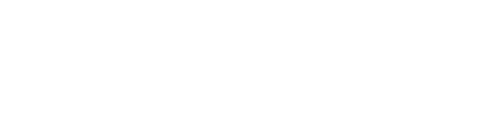 دنت كير